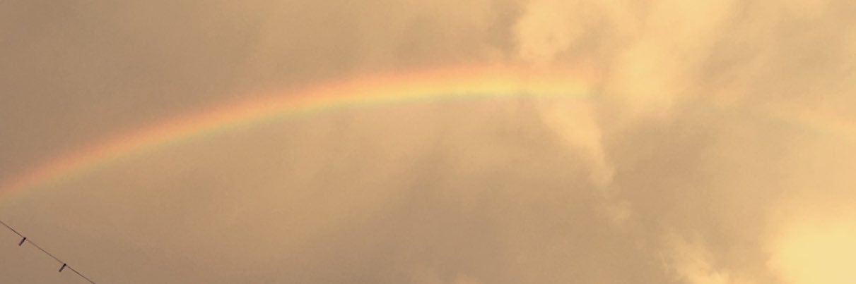 mariam_kcr's profile banner image