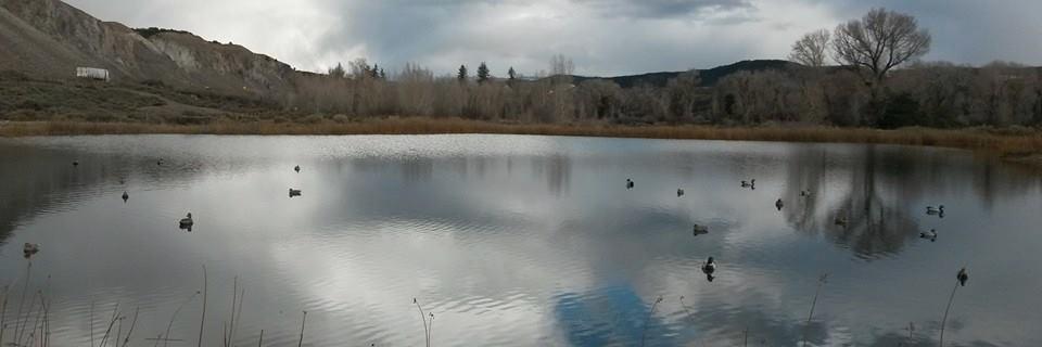 COduckhunter's profile banner image