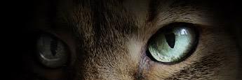 HunterOfClans's profile banner image