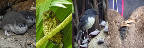 HelenTaylorCG Profile Banner