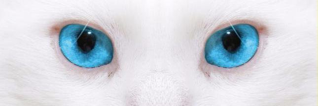 pacho_centeno's profile banner image