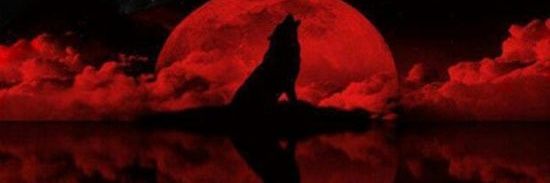 ⭕قاهر⭕ banner