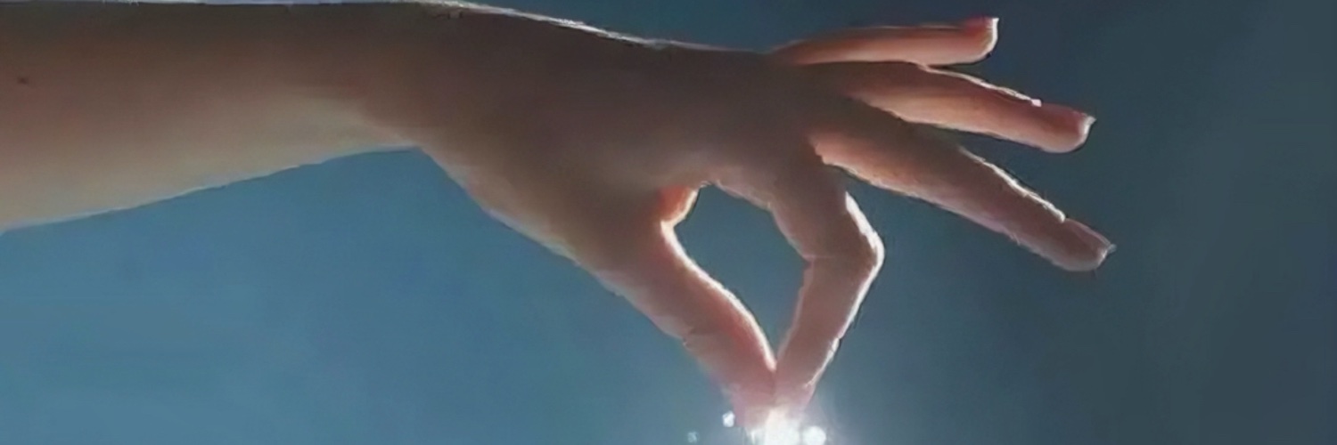 sofisci's profile banner image