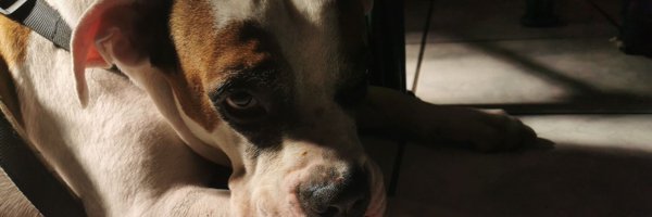 Lemusrafa Profile Banner