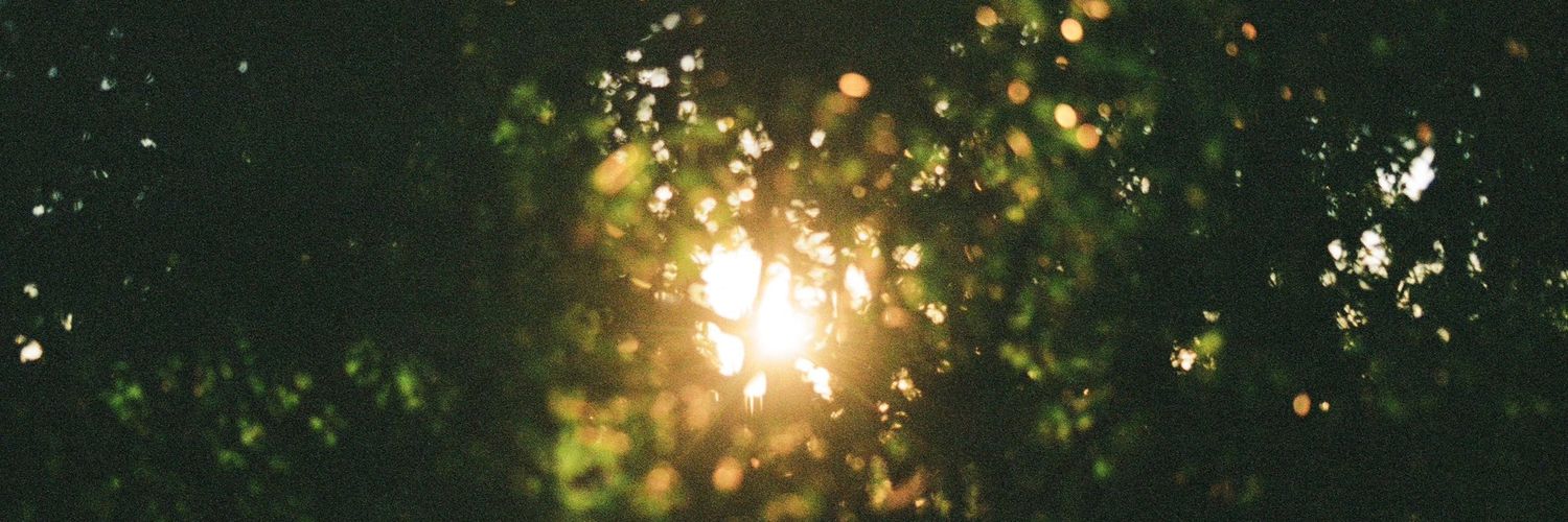 Daniarac's profile banner image