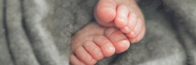 CuddleBugco's profile banner image