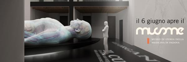 MUSMEPadova Profile Banner