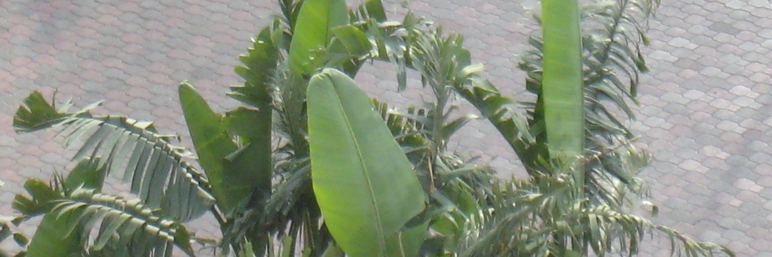 Reidon Hedevåg banner