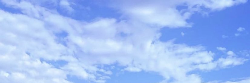romaineLechuga's profile banner image