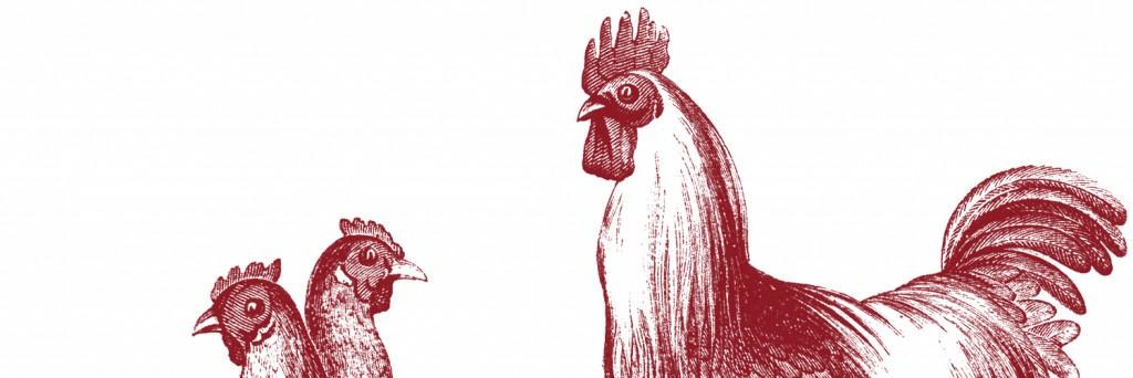 FlockandFowl's profile banner image