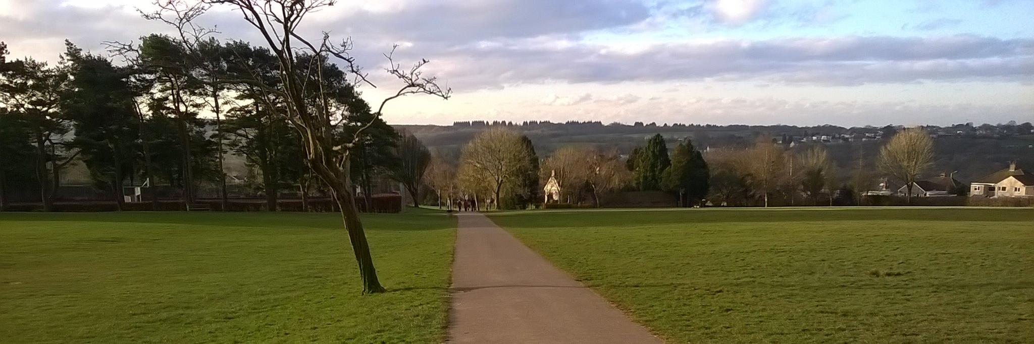 FriendsOfDunvantPark banner