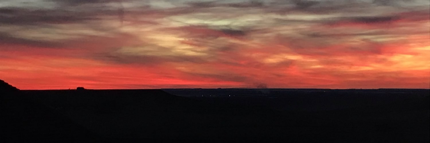 Marta Potente Castro banner