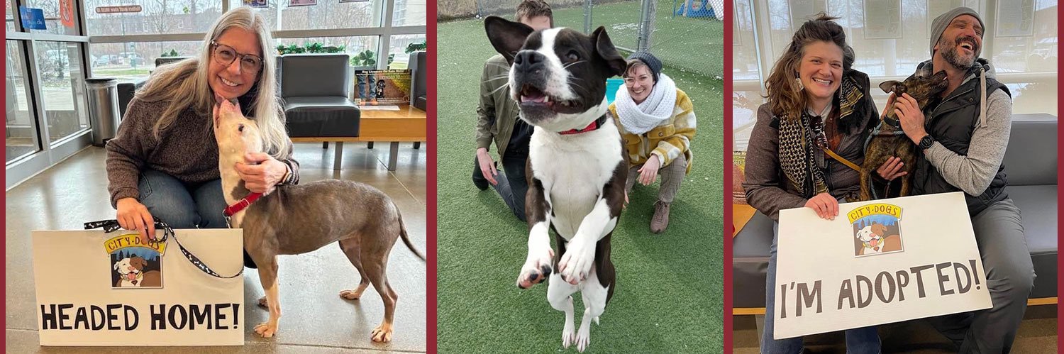 City Dogs Cleveland banner