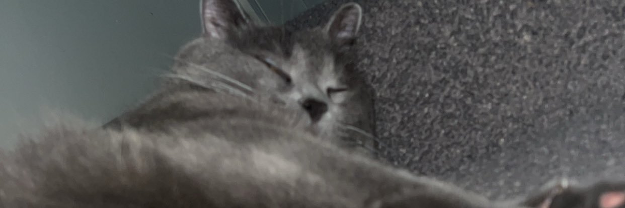 jayyyswizzle's profile banner image