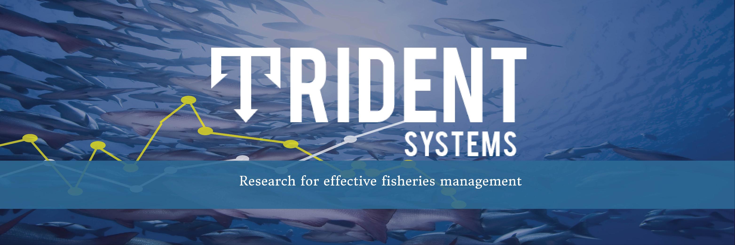 Trident_Systems's profile banner image