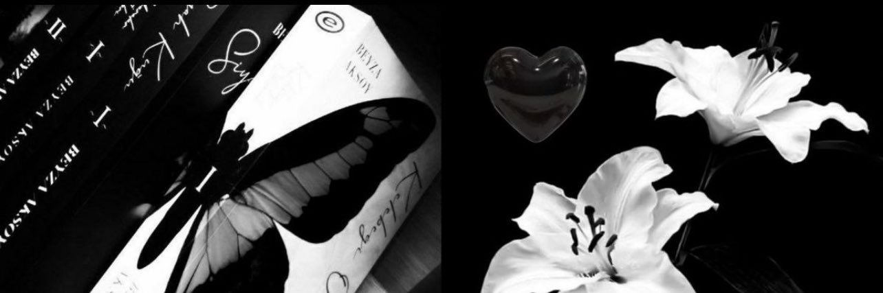 annasm__'s profile banner image