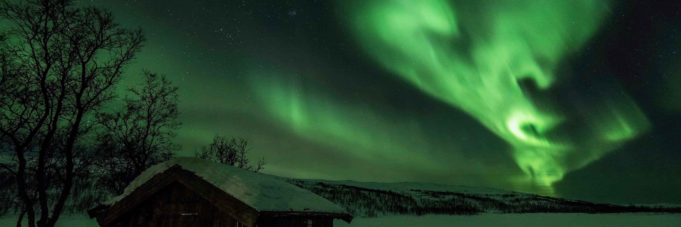 FeralReality's profile banner image