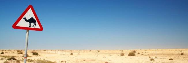 StandUp4Qatar's profile banner image