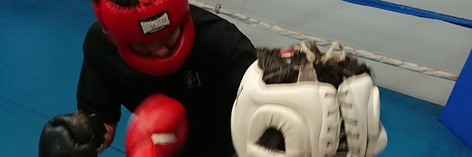 boxerlight's profile banner image