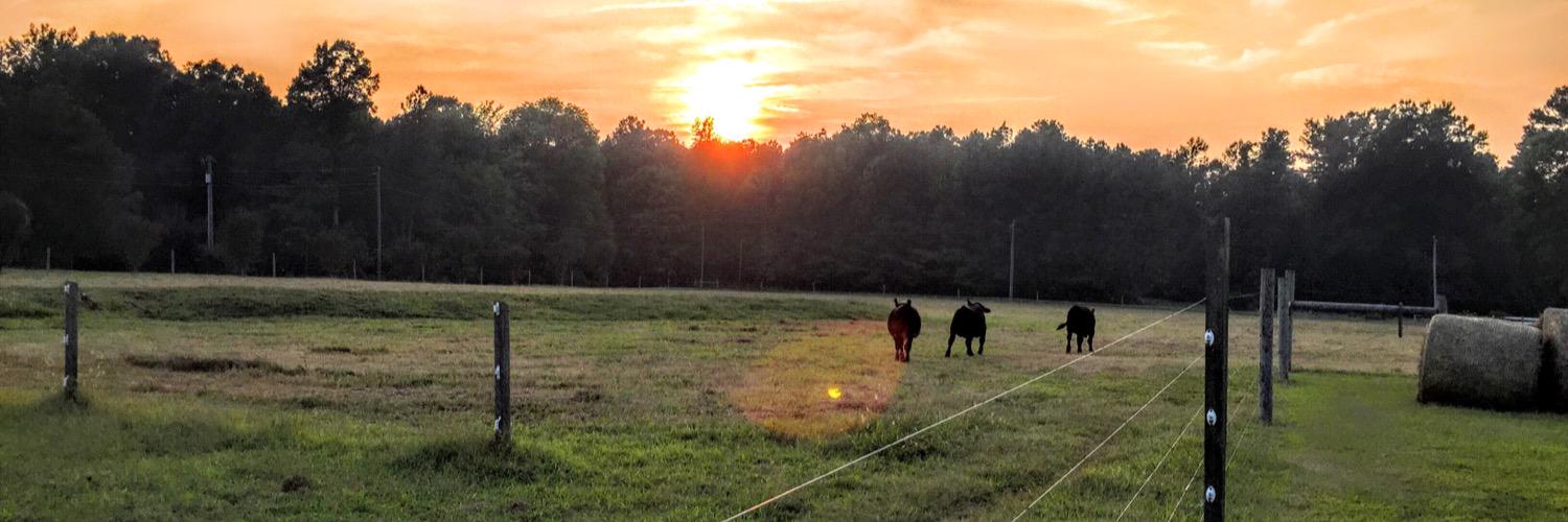 SurryCountyVa banner