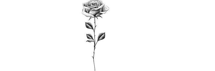 jstaaron777's profile banner image