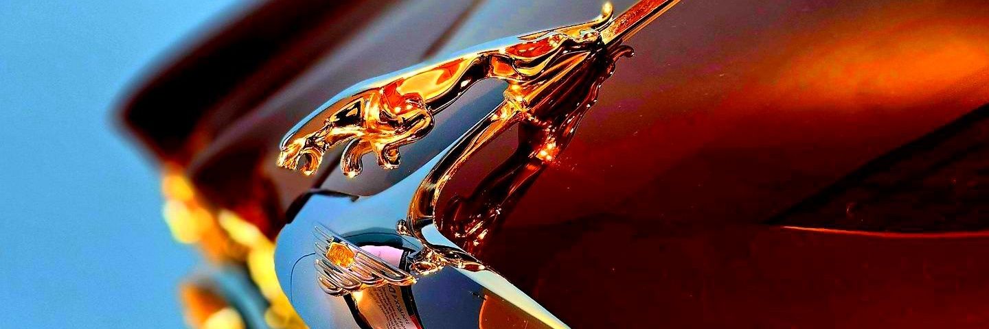 RealFlawlessENT's profile banner image