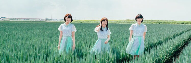kaetoro's profile banner image