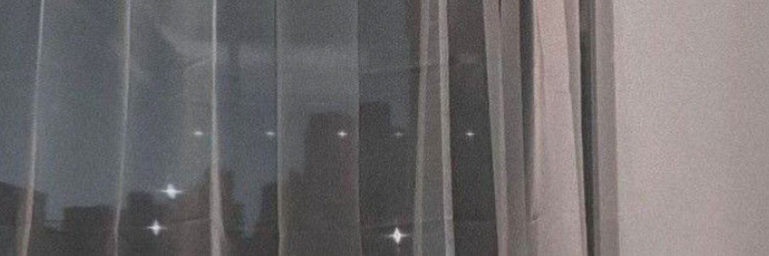 ppqritt's profile banner image
