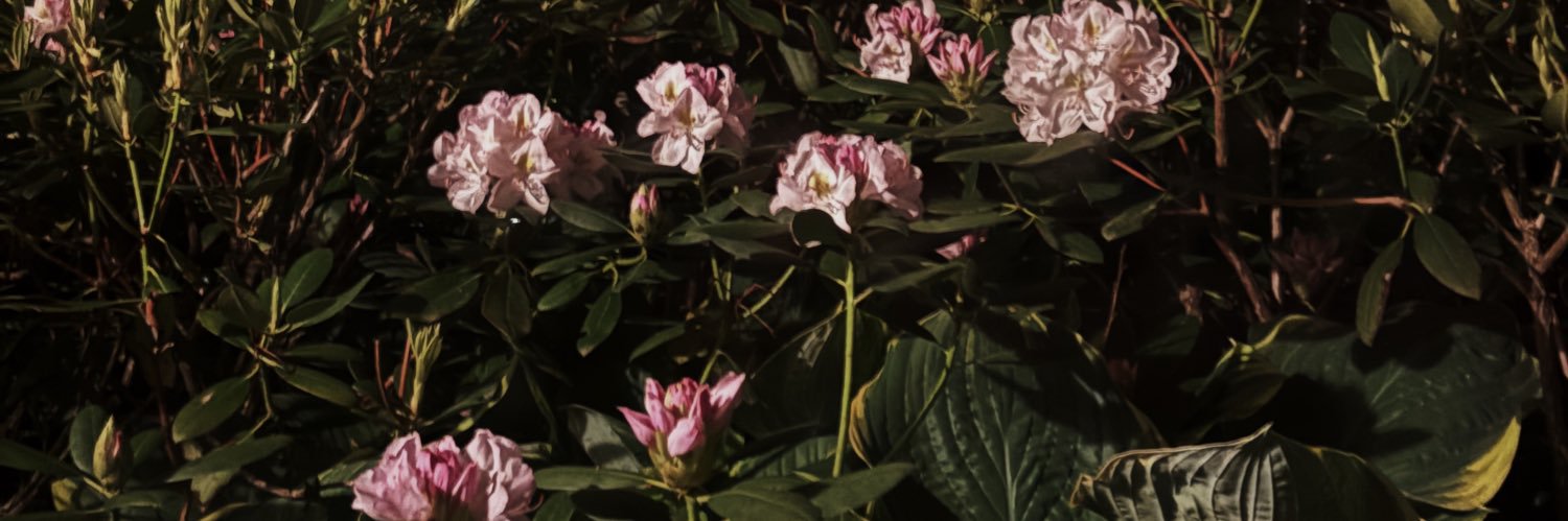 hndunc's profile banner image