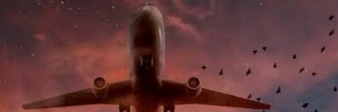 Ecesari03's profile banner image