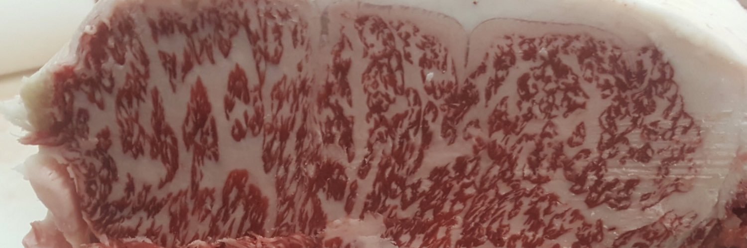 HWBeef banner