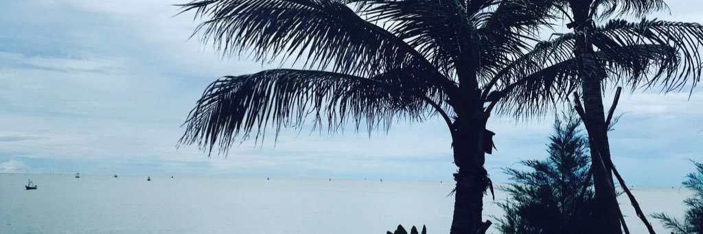 bbeerrss224's profile banner image