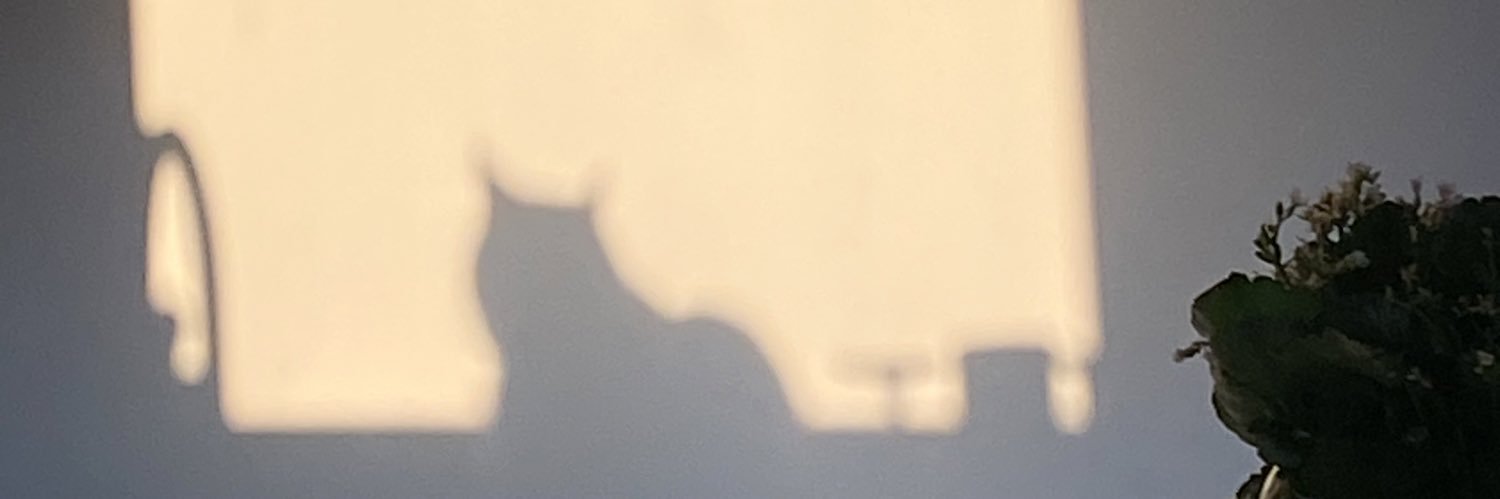 ameliee_robert's profile banner image