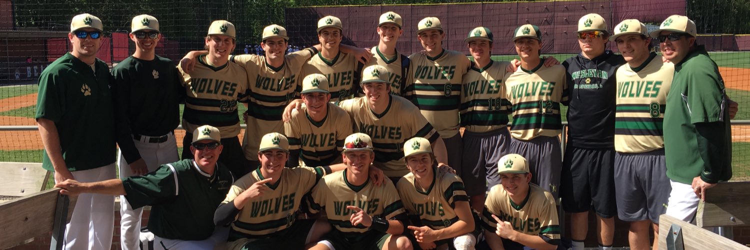 Wesleyan Baseball banner
