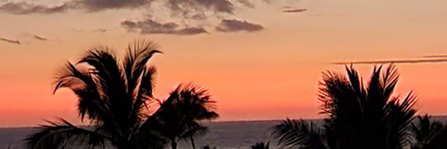 lokkisd's profile banner image