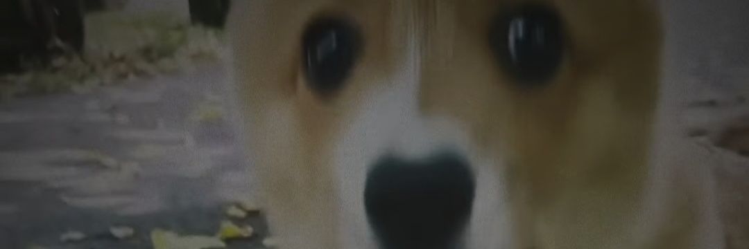 ColinKS64's profile banner image