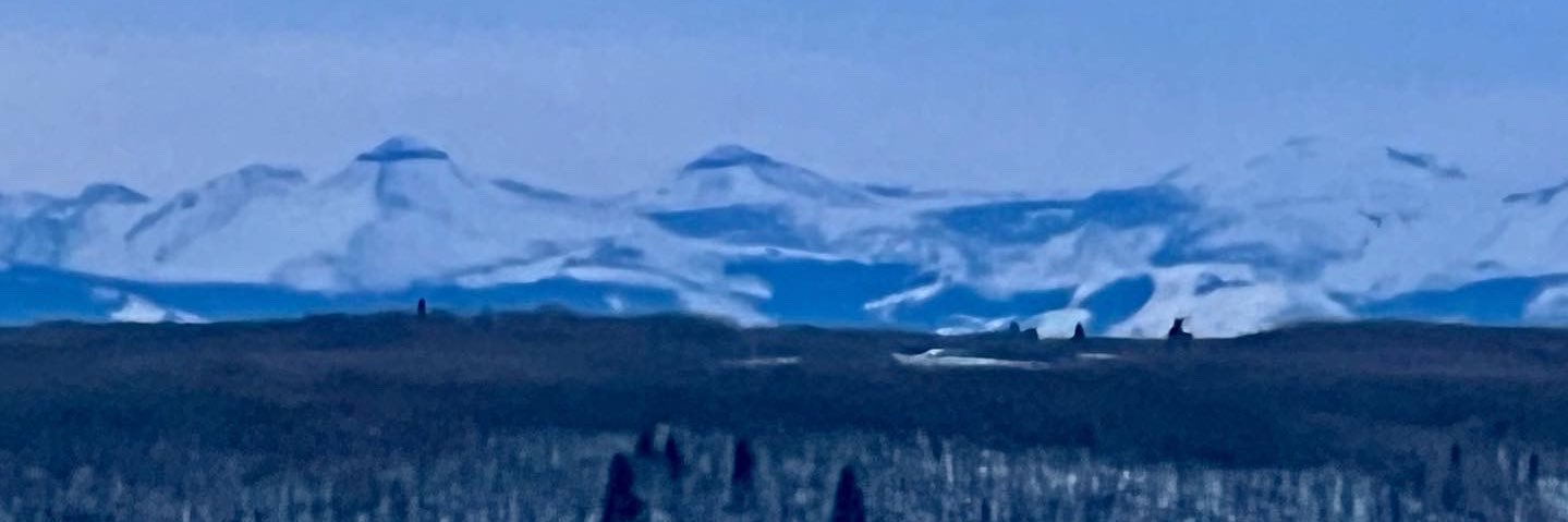 Maliseet's profile banner image