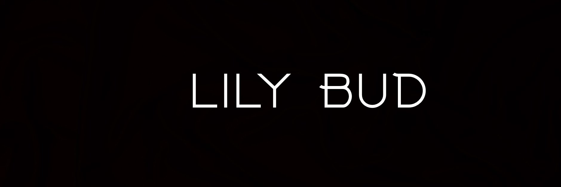 LilybudLondon's profile banner image