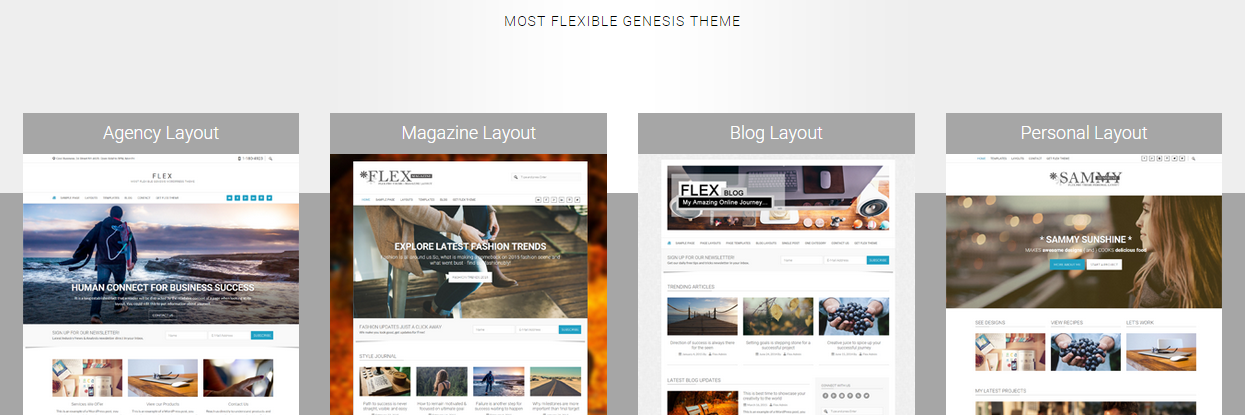 SimpleProThemes's profile banner image