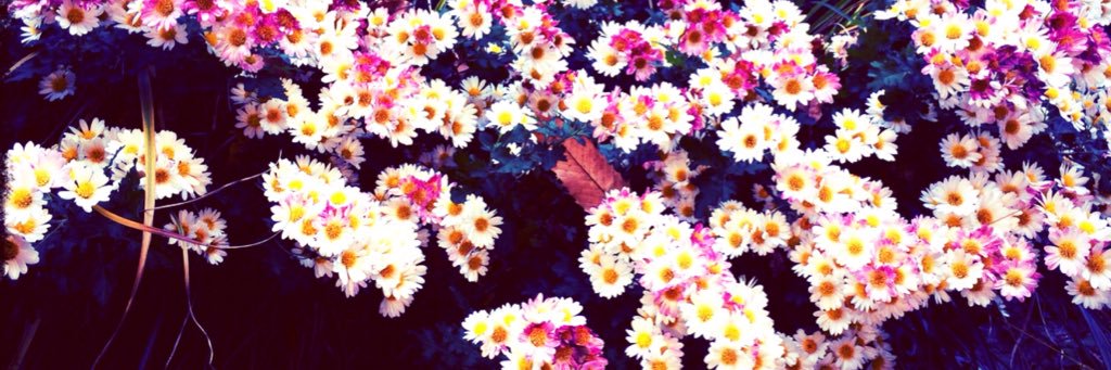 rendezvousxxx's profile banner image