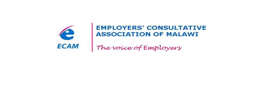 ecam_m's profile banner image