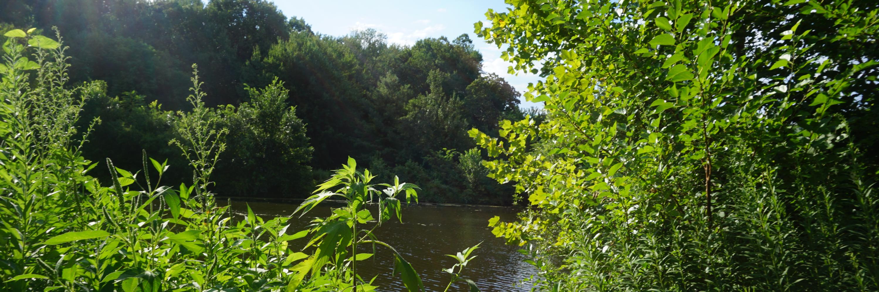 Gabrielle Resnik banner
