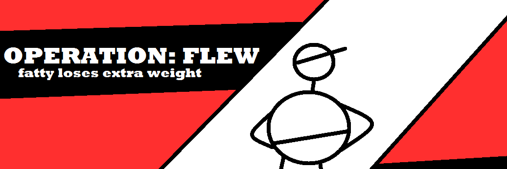 OperationFLEW's profile banner image