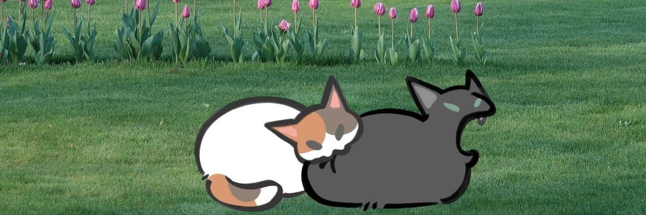 gubizinha's profile banner image