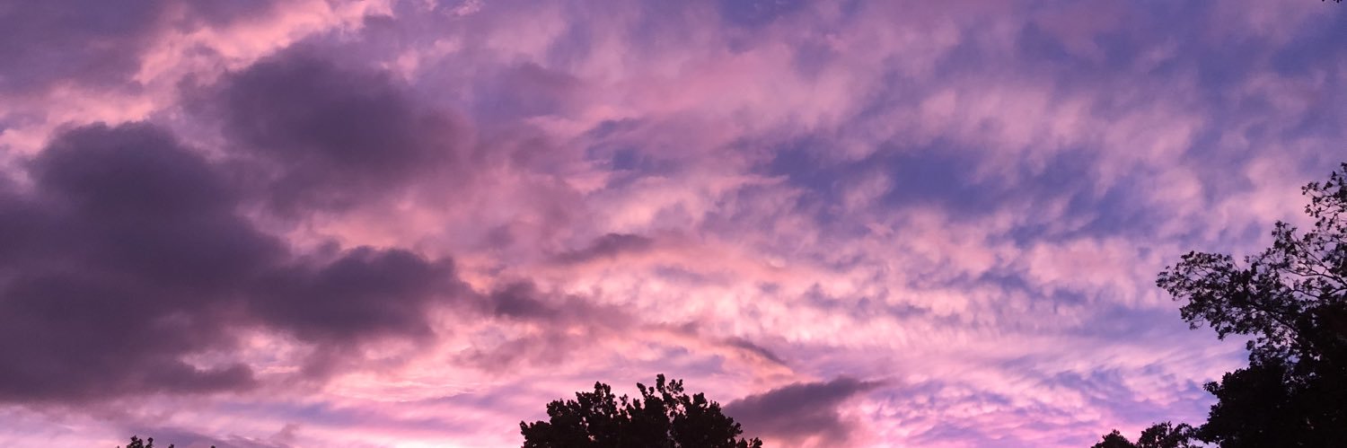 snapattackz's profile banner image