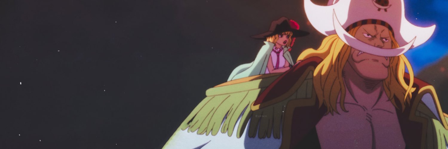 nonarguable's profile banner image