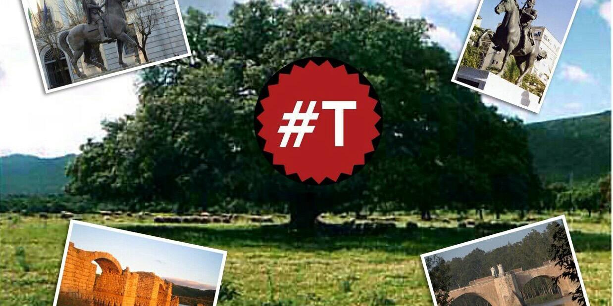 BrigadaTExt's profile banner image