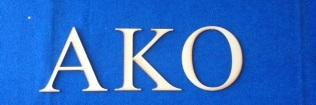 Akokids's profile banner image