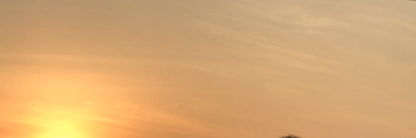 Frozen Boyle banner