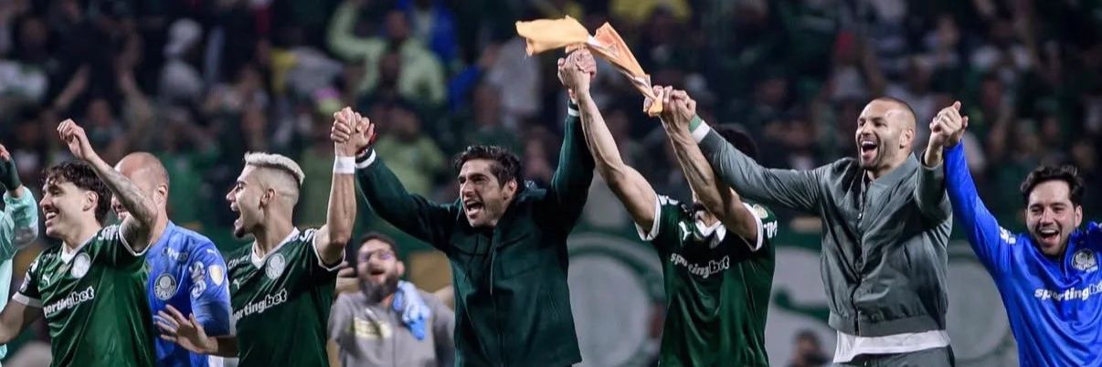 Rafael Viotto banner